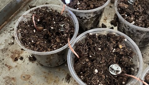 Soil battery
