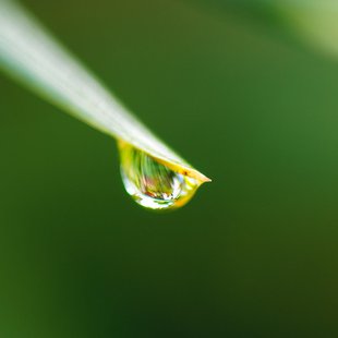 water drop
