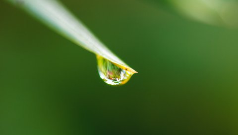 water drop