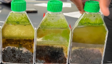 Three flasks showing colorful layers of sediment and microbes.