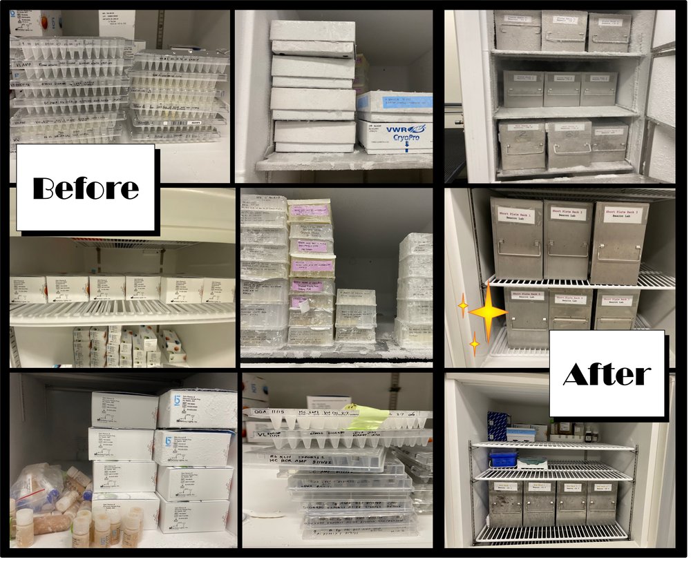 Beacon Lab - Before and After Website