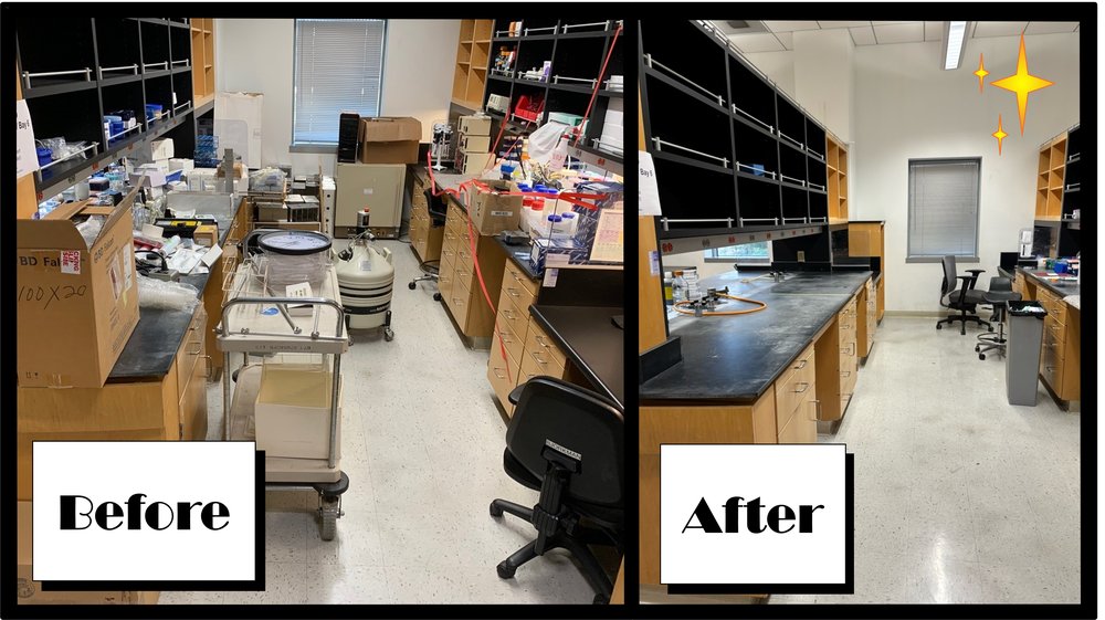 Bjorkman Lab - Jennifer Keeffe