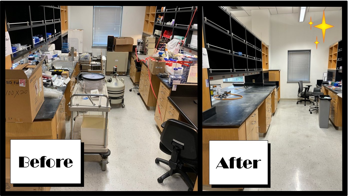 Bjorkman Lab - Before and After Website