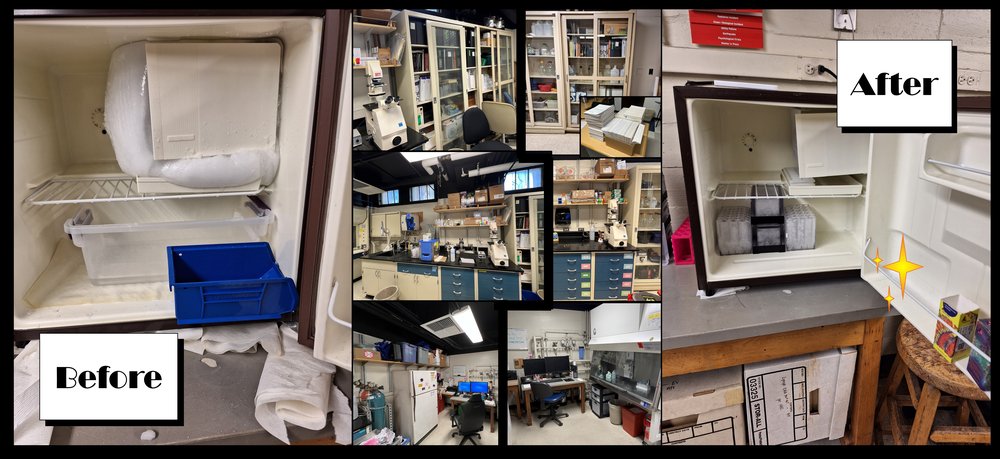 Flow Cytometry Center - Maddy Adolphs, Olivia Finney, and Michael Gregory