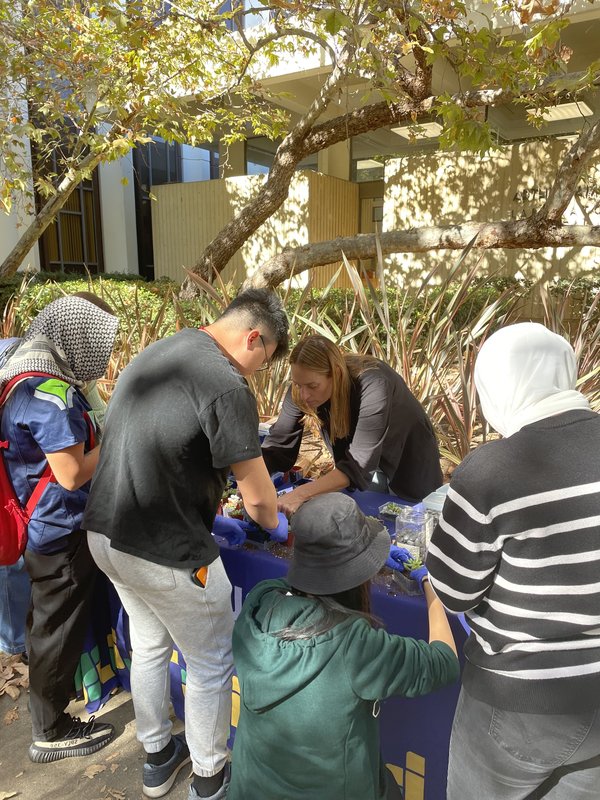 CCE Event 2023 - Planting