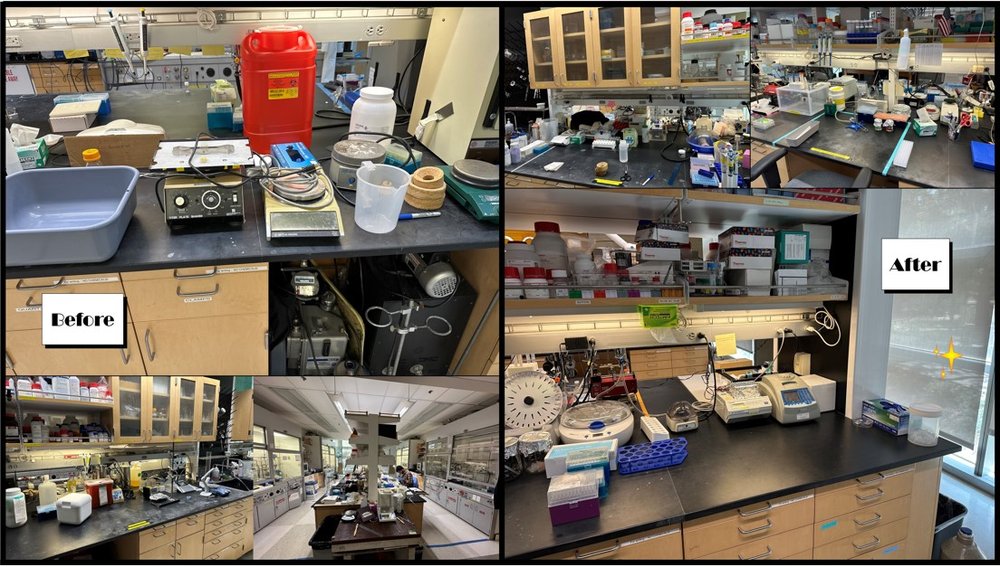 Kornfield Lab - Dennis Ko, Rohit Srikanth