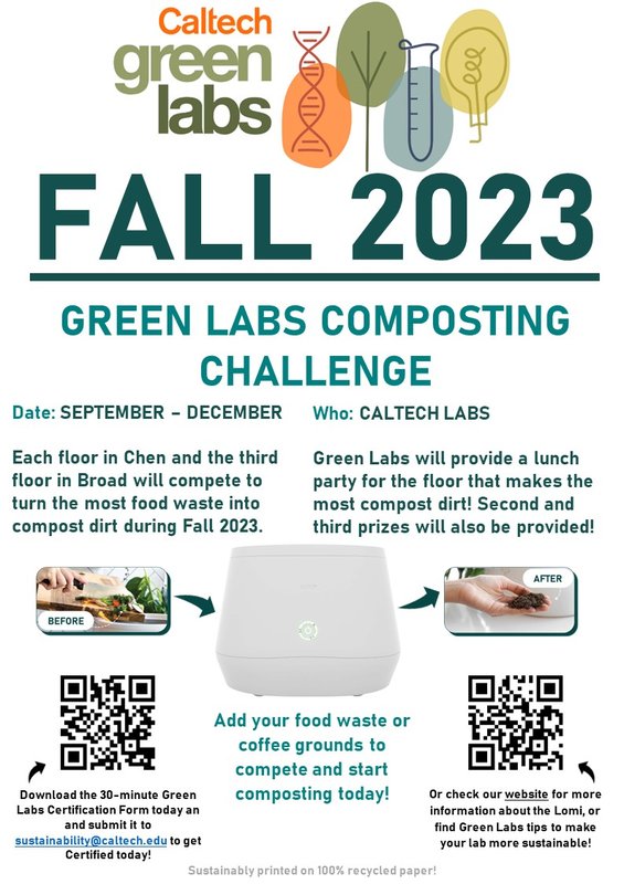 Lomi Competition Poster