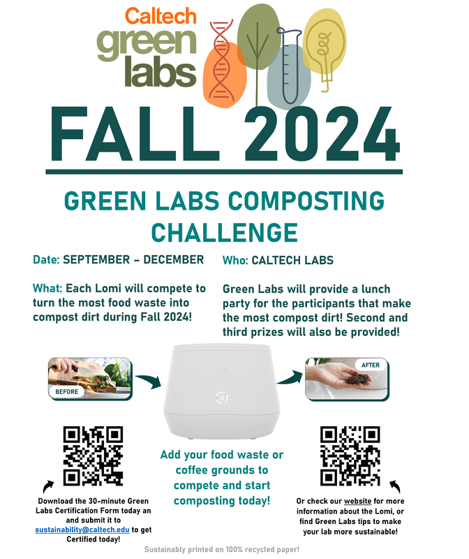 Lomi Competition Poster 2024