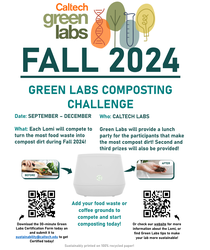 Lomi Competition Poster 2024