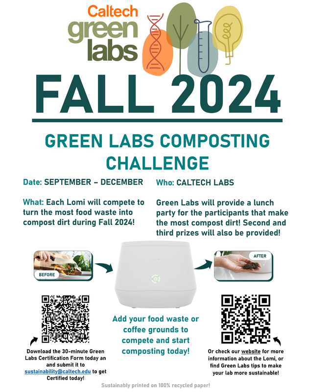 Lomi Competition Poster 2024
