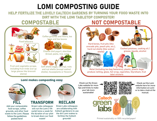 Lomi Signage