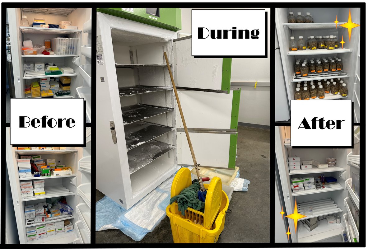 Mazmanian Lab - Before and After