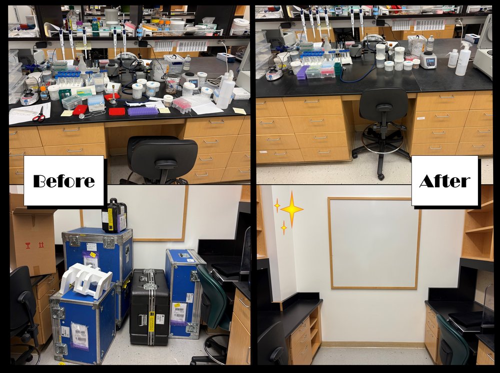 Nolan Lab - Xiaohui Li