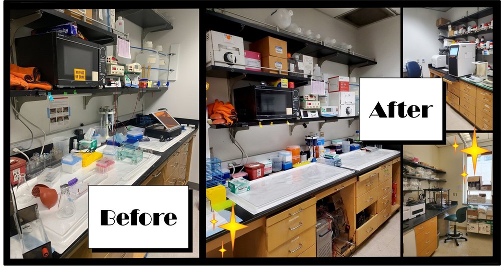 Pierce Lab - Before and After