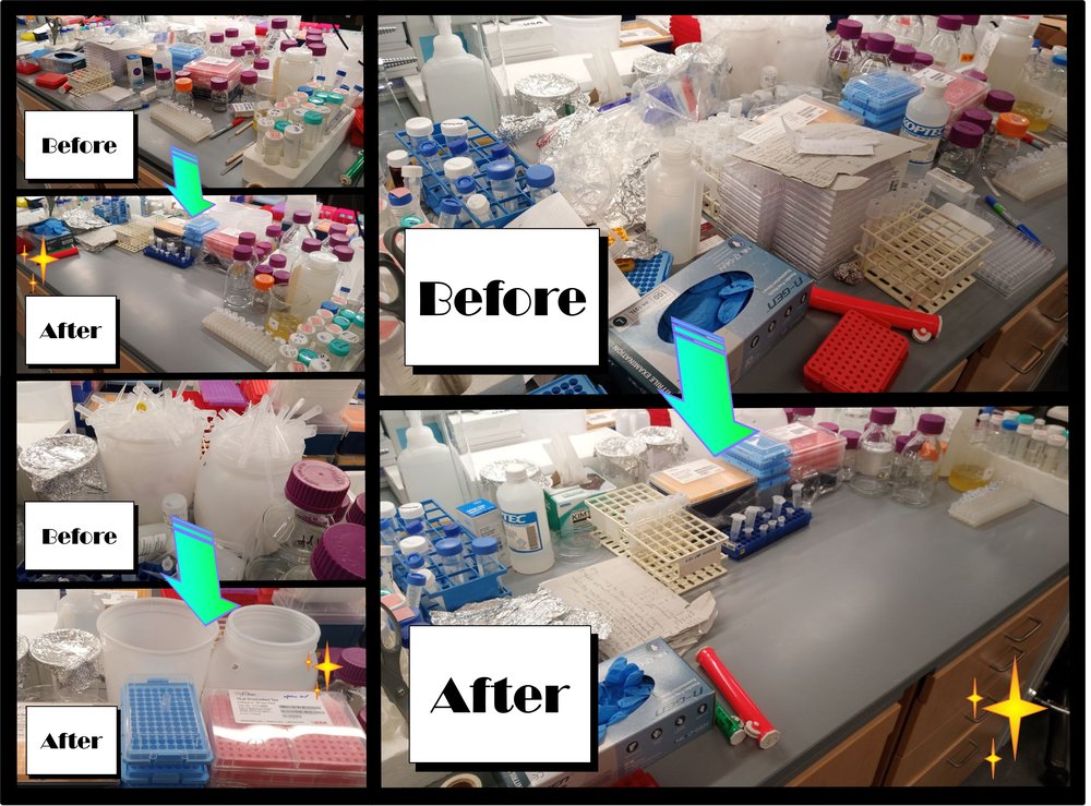Prober Lab - Before and After Website