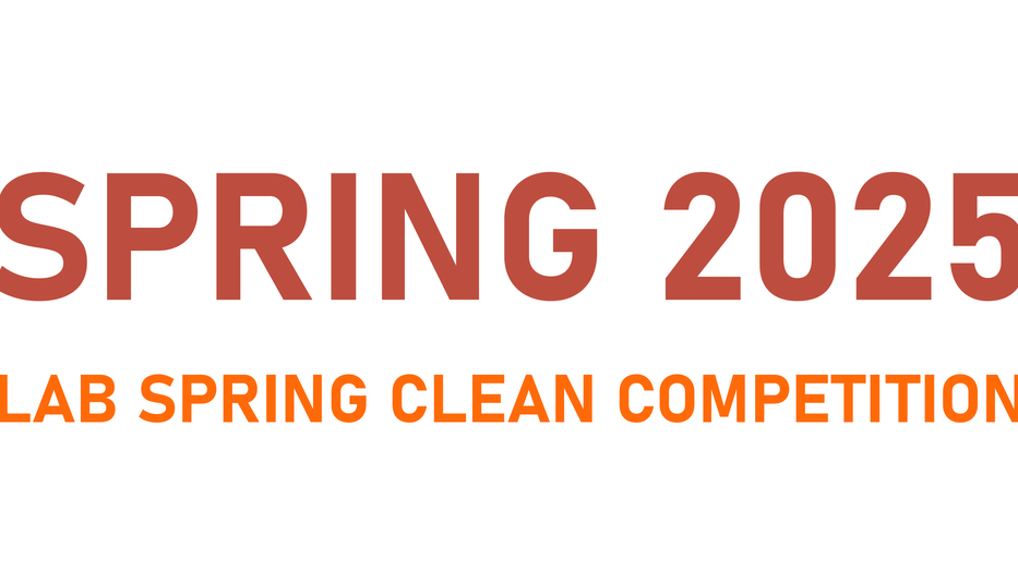Spring Clean Logo