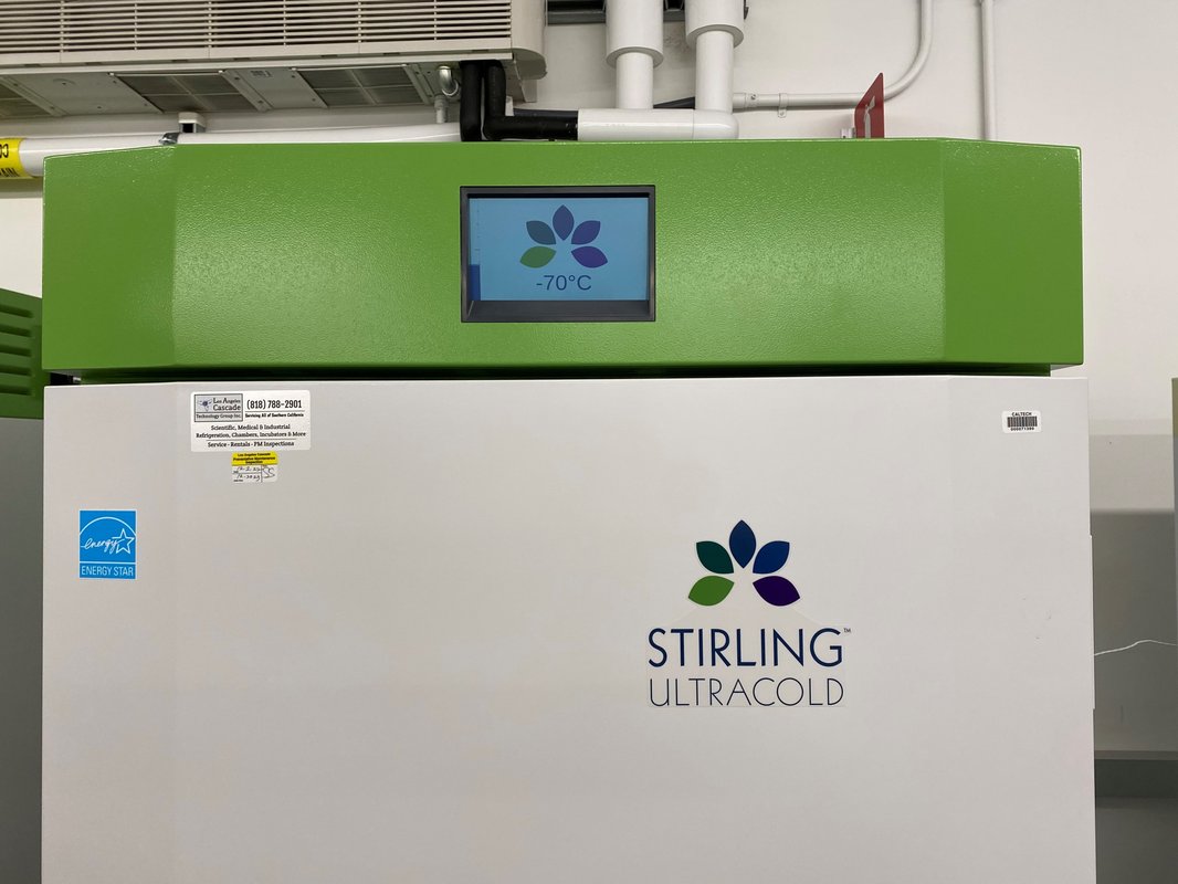 Energy Efficiency - Freezer
