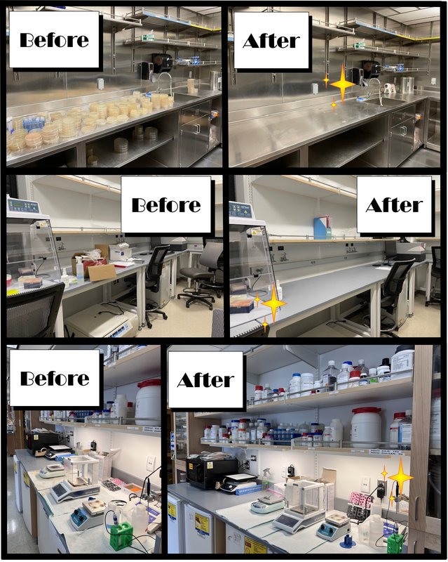 Wang Lab - Before and After Website