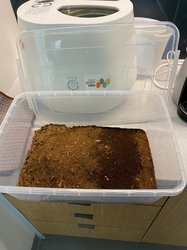 Lomi Compost Dirt