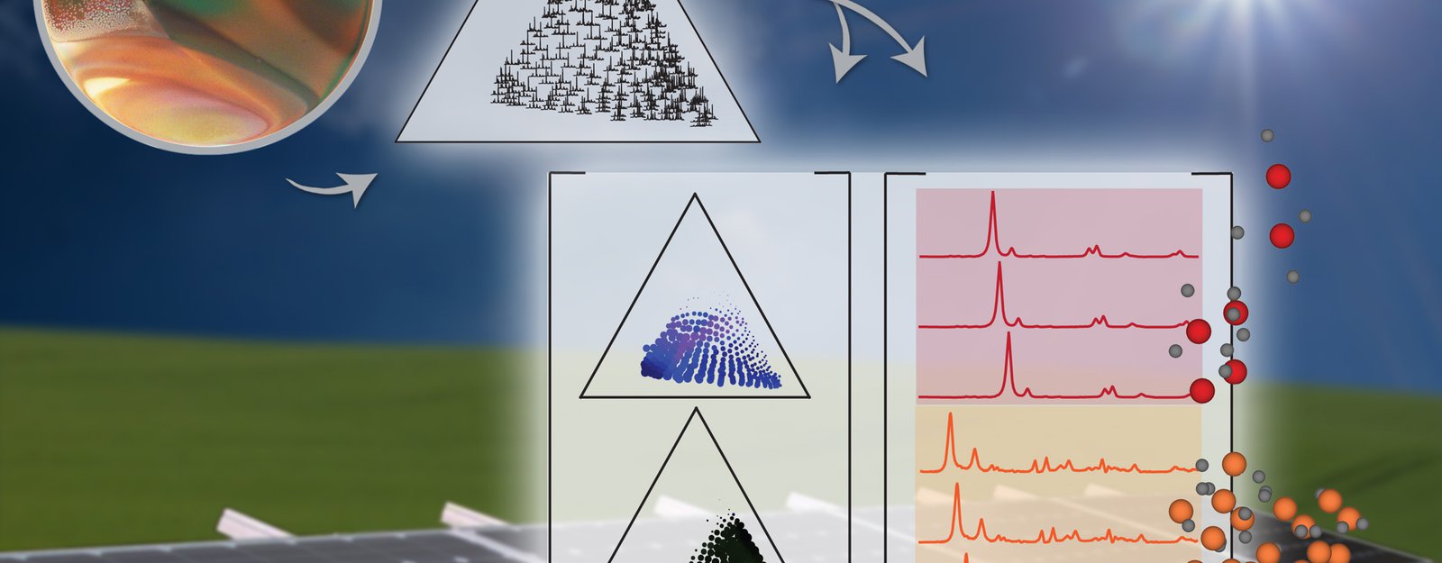 image from publication