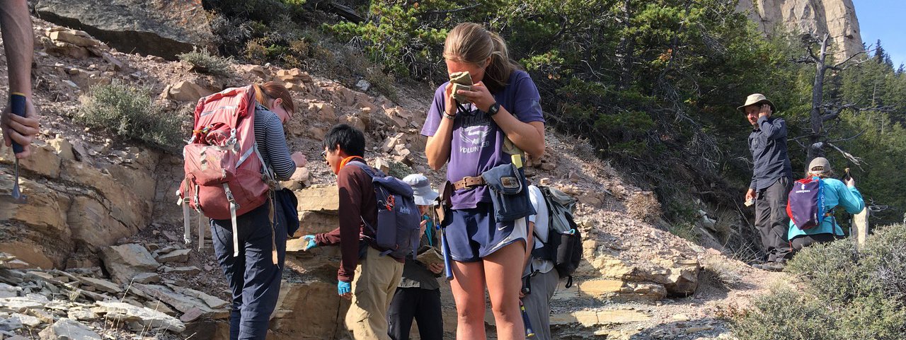 Inspecting Fossils