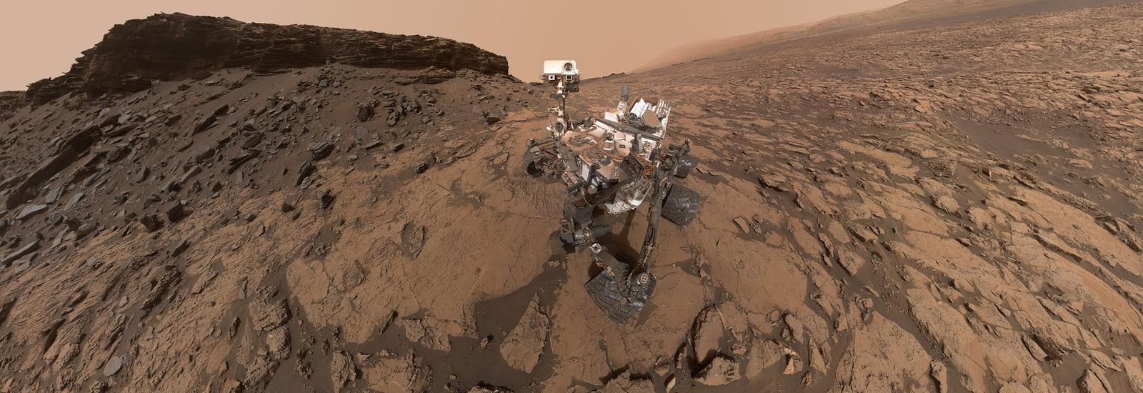 MSL selfie