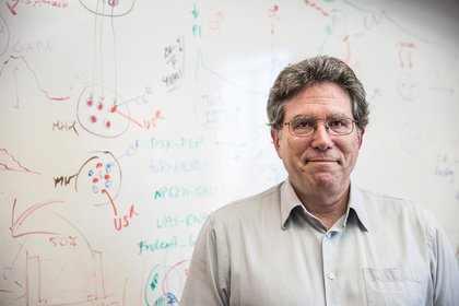 David J. Anderso