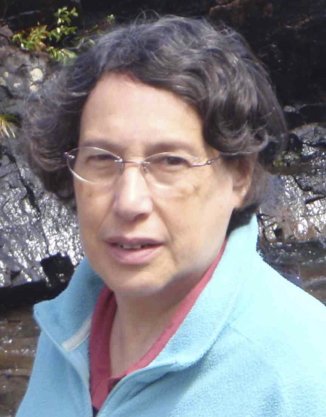 Carole Stein