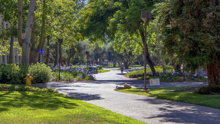 A walkway on Caltech's campus with flowers, bushes, trees, and grass.