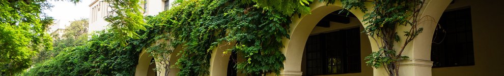 Building arches covered in wisteria