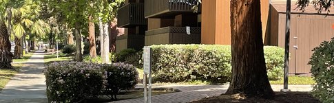 Catalina Sidewalk with view of flowers, trees, and exterior of apartments.