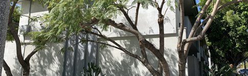 Cordova  exterior featuring landscaping