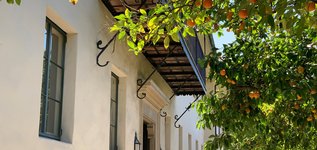 UG Orange Walk exterior. Balcony and orange trees.