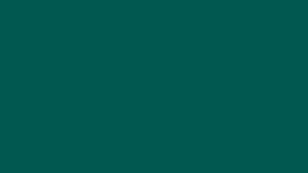 color #005851