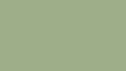 color #9DAE88