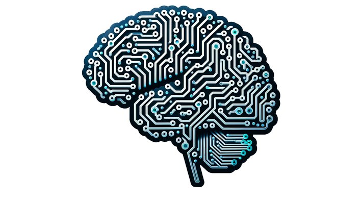Brain made of circuits