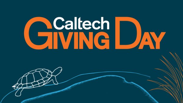 Giving Day logo with sketch of turtle in pond