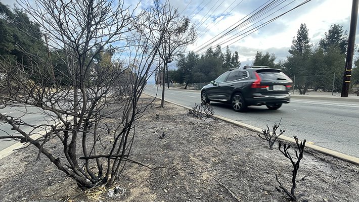 Car driving by scorched bush