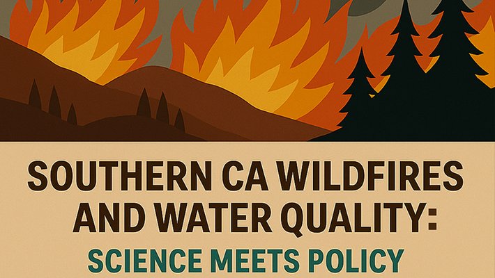 Graphic of wildfire on mountainside