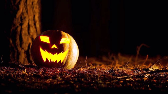 Lit pumpkin sitting in the dark