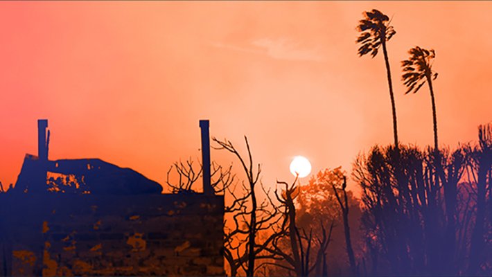 Smoky sunset with scorched tyrees