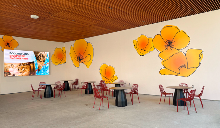 A shaded area outse the Resncik Sustainability Institute with round tables, red chairs, and large yellow-orange flower murals on the walls.