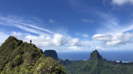 Landscape image of island forest landscape