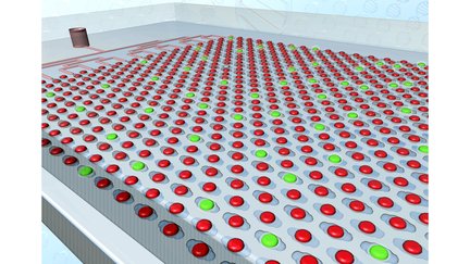 Chip used in single molecule diagnostics