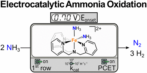 Publication Image
