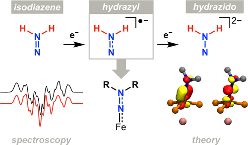 Publication Image