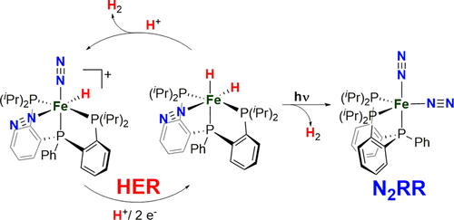 Publication Image