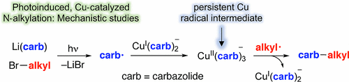 Publication Image