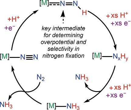 Publication Image