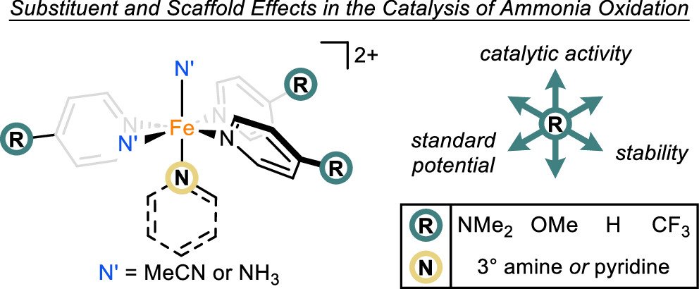 Publication Image